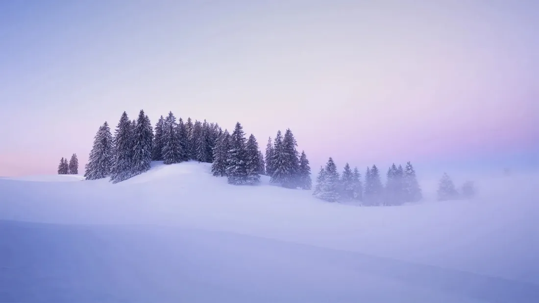 粉紫渐变暮色下，雾霭中的雪坡松林静谧朦胧。