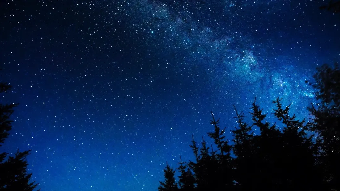 深蓝色夜空布满繁星与银河，下方是针叶林的黑色剪影。