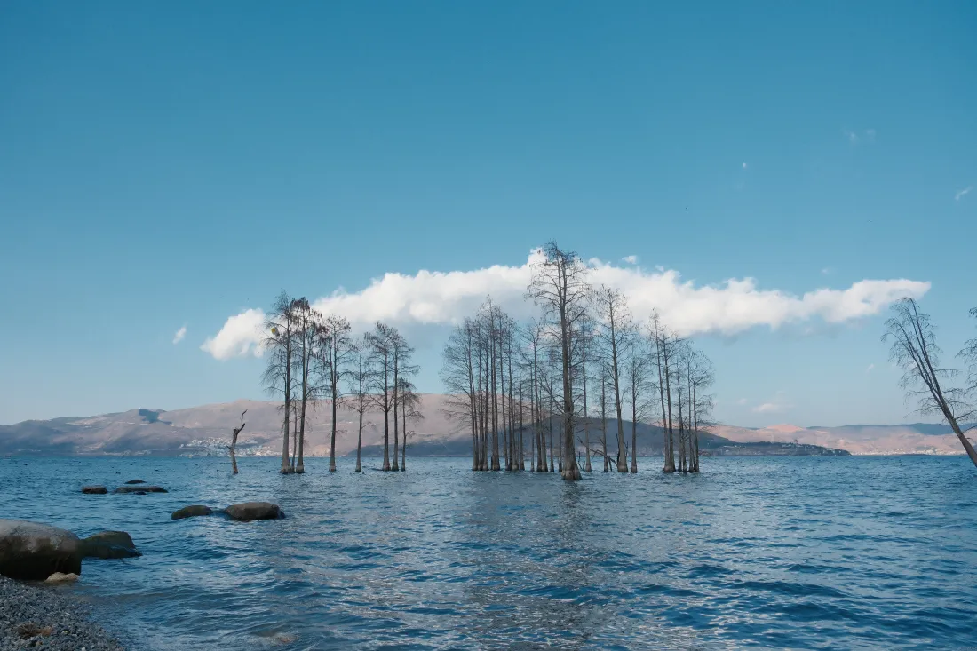 8k洱海壁纸｜湖中枯树远山背景图片 - 清新湖景「哲风壁纸」