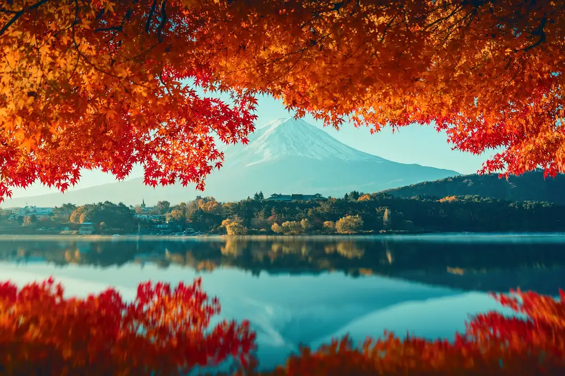 8k富士山红色枫叶壁纸|湖面倒影背景图片 - 秋日「哲风壁纸」 秋日红枫框景下,富士山与湖岸林木在平静湖面形成清晰倒影