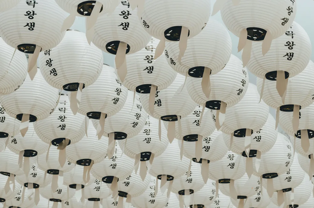 密集悬挂的白色纸灯笼，表面印有黑色韩文，整体素雅洁净。