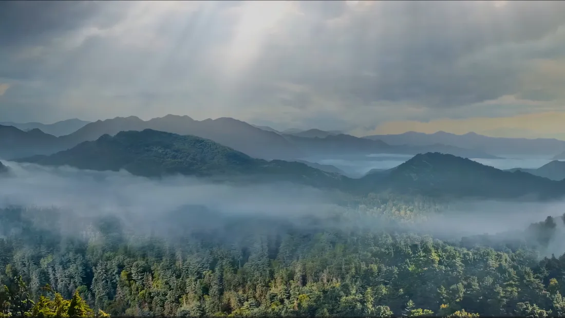 4k自然风景壁纸|云雾山峦背景图片 - 森林晨雾「哲风壁纸」 4k自然风景壁纸|云雾山峦背景图片 - 森林晨雾「哲风壁纸」
