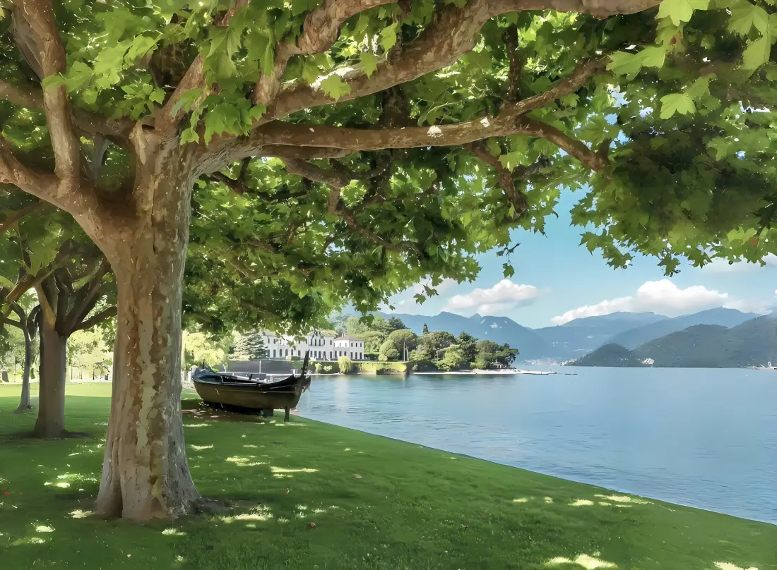 2k湖边帆船树阴壁纸|草地湖泊背景 - 自然风景「哲风壁纸」 湖畔树荫下的草地,停着小船,远处是湖泊、岛屿与连绵远山。