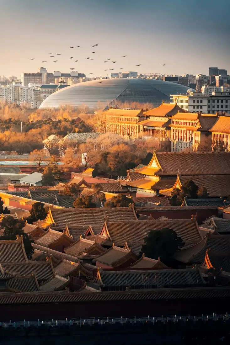 秋日黄昏俯瞰故宫古建筑群，远处国家大剧院与现代楼宇相映，飞鸟掠过天际。
