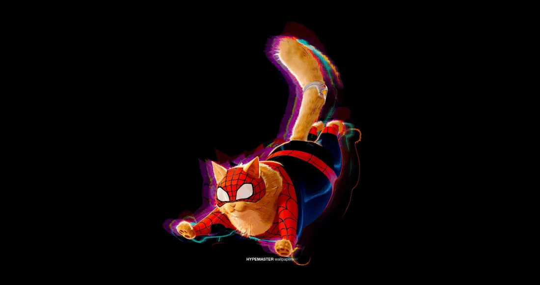 4k漫威壁纸 - 猫 - 胖猫 - 蜘蛛猫「哲风壁纸」