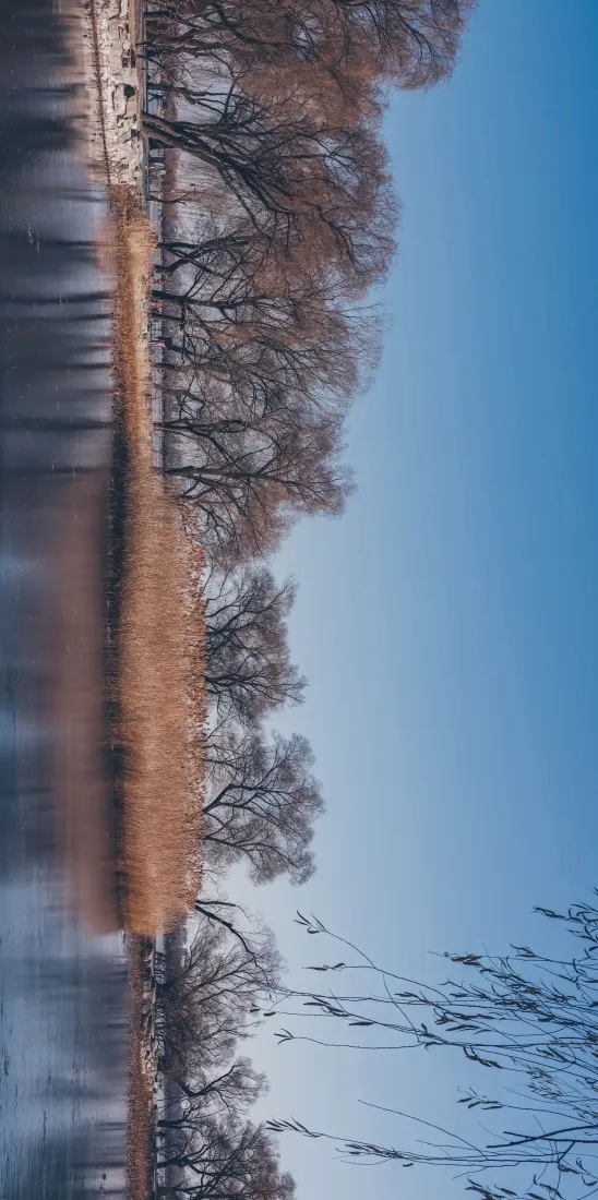 北京自然风景手机壁纸｜河畔树木背景图片 - 蓝天倒影「哲风壁纸」