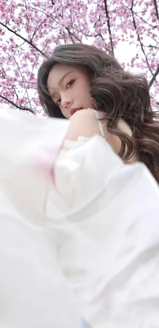 白衣女子樱花手机壁纸｜粉色樱花背景图片 - 春日艺术「哲风壁纸」