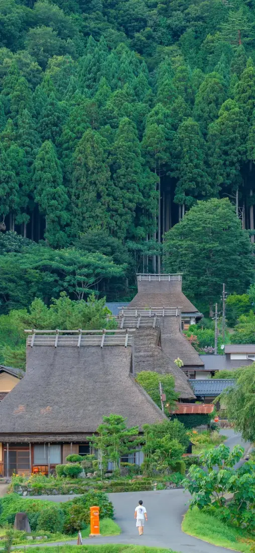 自然风景手机壁纸|日式茅草屋背景图片 - 森林乡村小路「哲风壁纸」 自然风景手机壁纸|日式茅草屋背景图片 - 森林乡村小路「哲风壁纸」