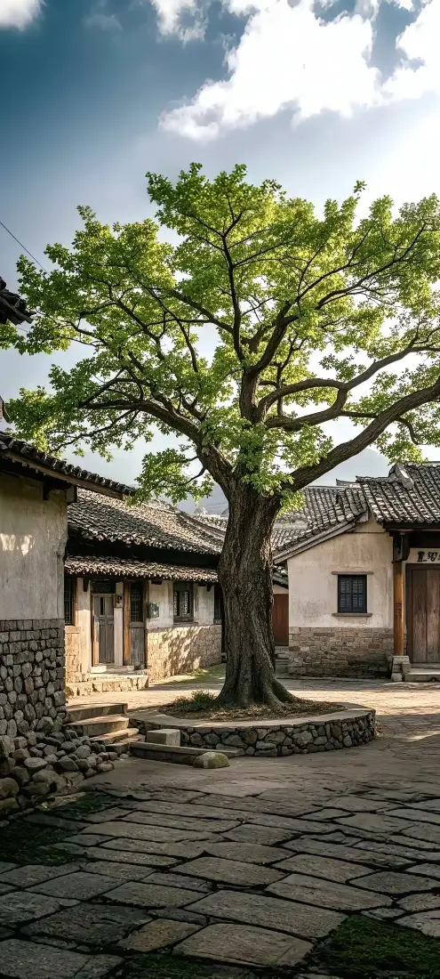 古树手机壁纸｜古建筑背景图片 - 自然风光「哲风壁纸」