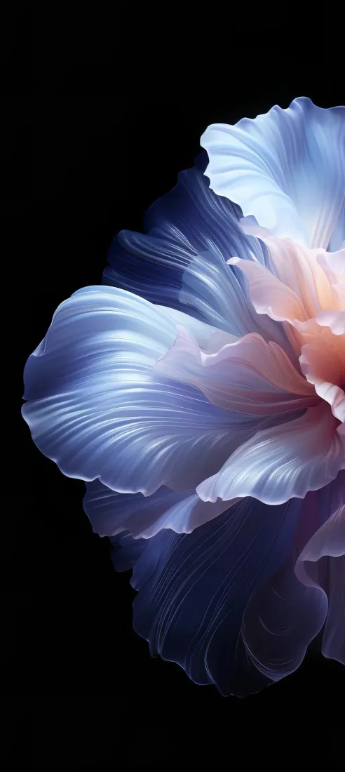 花朵手机壁纸｜黑色背景图片 - 蓝粉花瓣「哲风壁纸」
