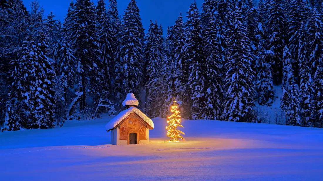 4k雪中小屋圣诞树壁纸｜冬夜雪景背景图片 - 森林「哲风壁纸」