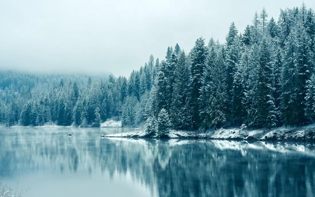 3k雪景森林湖泊壁纸｜自然风景背景图片 - 冬季冷色调「哲风壁纸」