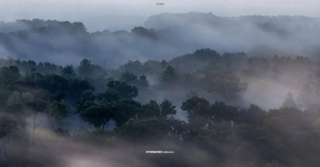 2k自然风景壁纸｜树林雾气背景 - 晨雾山峦层林「哲风壁纸」