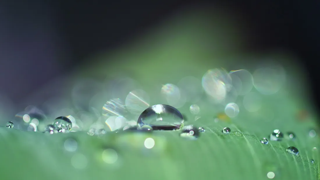 4k水珠壁纸｜绿色背景图片 - 自然风景「哲风壁纸」