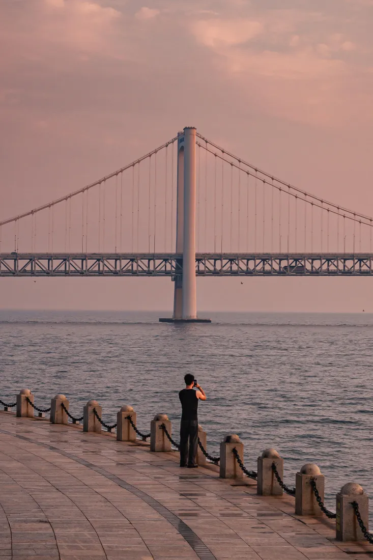 大连跨海大桥手机壁纸|海边背景图片 - 粉色黄昏「哲风壁纸」 大连跨海大桥手机壁纸|海边背景图片 - 粉色黄昏「哲风壁纸」