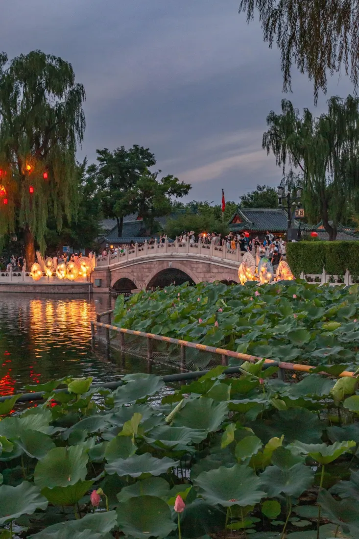 北京荷塘手机壁纸|拱桥夜景背景图片 - 中国「哲风壁纸」 北京荷塘手机壁纸|拱桥夜景背景图片 - 中国「哲风壁纸」