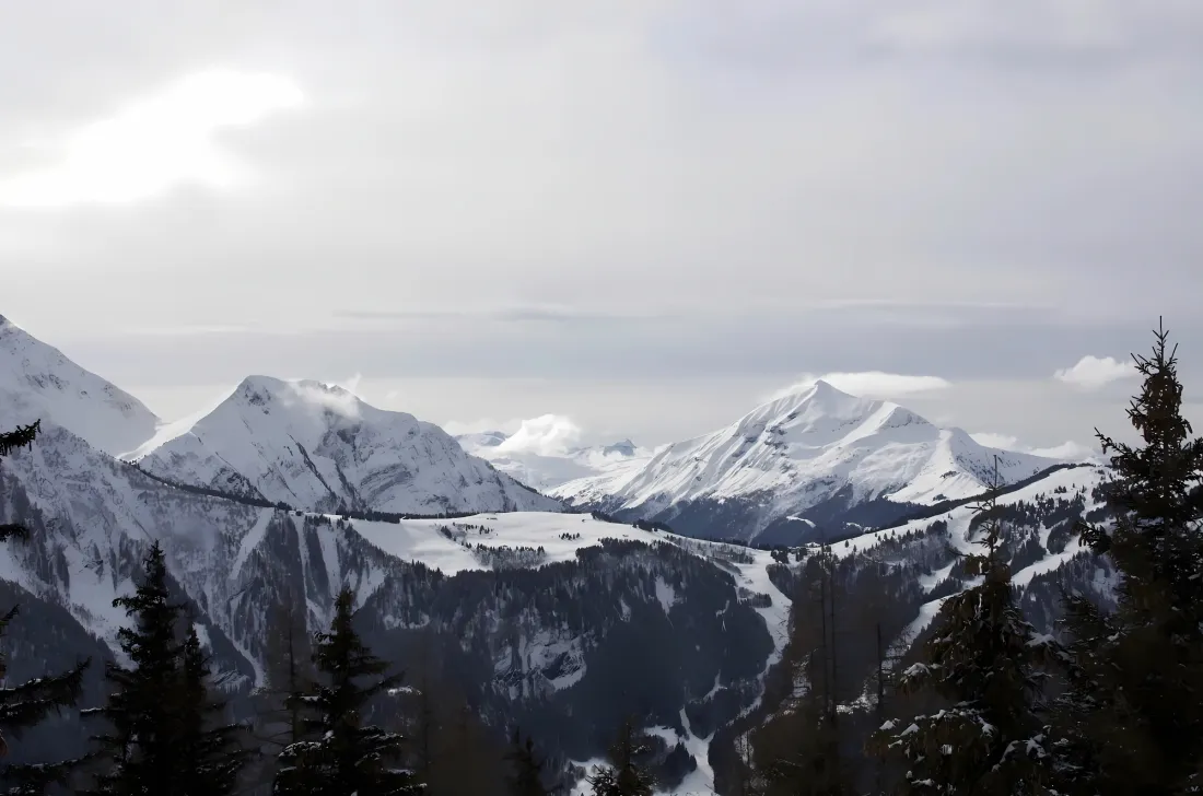 冬日雪山群峰连绵，前景松林剪影，阴天云雾笼罩的开阔山景