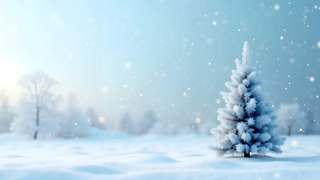 4k雪景壁纸|雪地背景图片 - 松树白雪蓝天「哲风壁纸」 4k雪景壁纸|雪地背景图片 - 松树白雪蓝天「哲风壁纸」