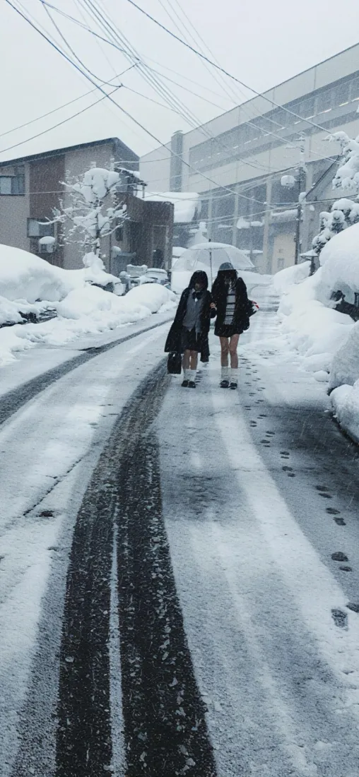 大雪纷飞的日式居民区街道，两名行人走在积雪覆盖的道路上，两侧房屋与植被堆满积雪。