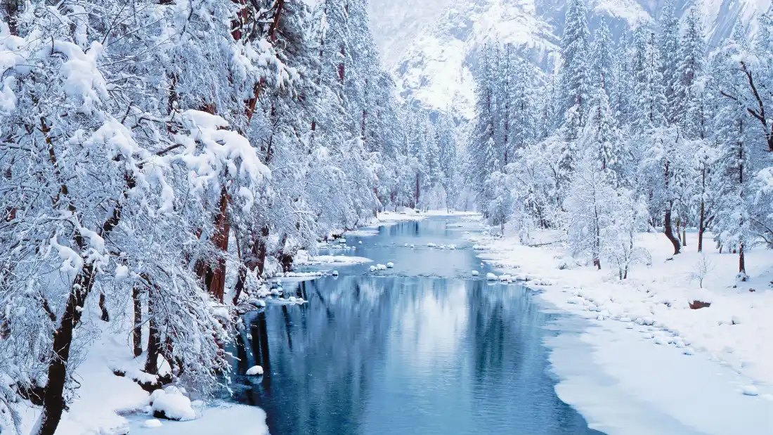 2k雾凇冰河雪景壁画|自然风景背景图 - 森林雪山「哲风壁纸」 冬日雾凇覆盖的森林间,冰河蜿蜒向远方延伸,两岸积雪皑皑。