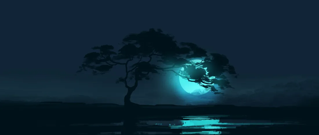 4k夜晚壁纸 - 树 - 夜景 - 安静「哲风壁纸」