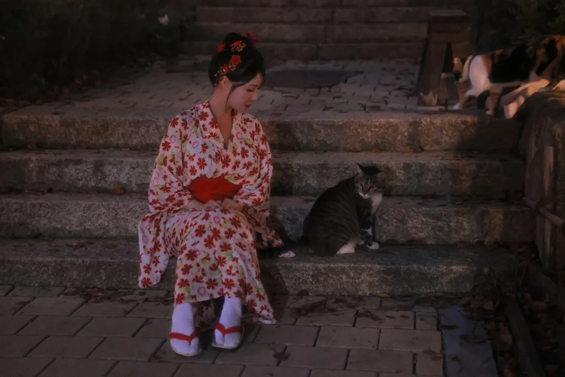 和服女子壁纸|夜景背景图片 - 猫咪互动「哲风壁纸」 和服女子壁纸|夜景背景图片 - 猫咪互动「哲风壁纸」