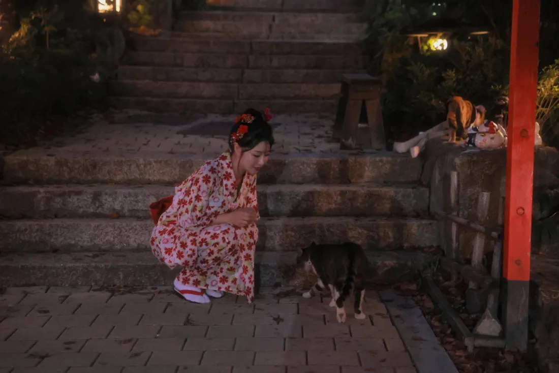 和服女孩壁纸|日式庭院背景图片 - 夜晚小狗「哲风壁纸」 和服女孩壁纸|日式庭院背景图片 - 夜晚小狗「哲风壁纸」