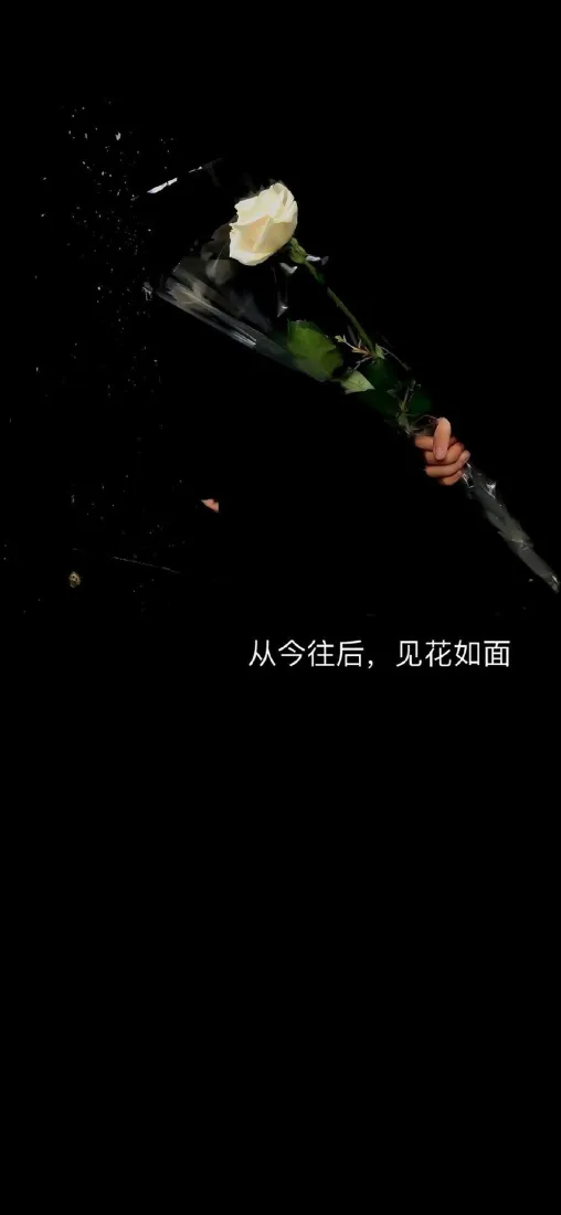 4k景深壁纸 - 摄影 - 简约 - 艺术「哲风壁纸」