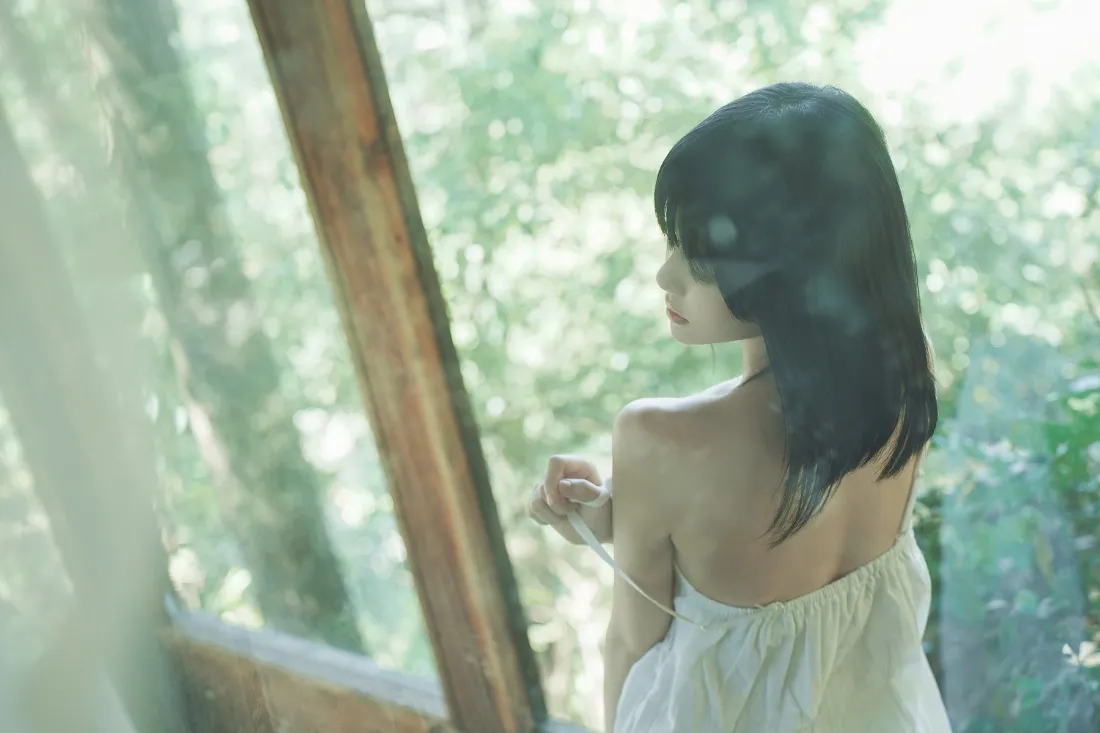 白衣女孩壁纸｜窗边背景 - 阳光树林玻璃「哲风壁纸」