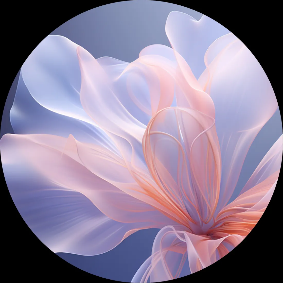 艺术花卉手机壁纸｜蓝色背景图片 - 透明花瓣「哲风壁纸」
