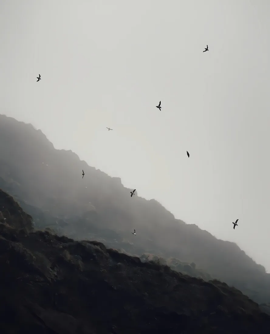 自然风景手机壁纸|灰色天空背景 - 山峦飞鸟「哲风壁纸」 自然风景手机壁纸|灰色天空背景 - 山峦飞鸟「哲风壁纸」