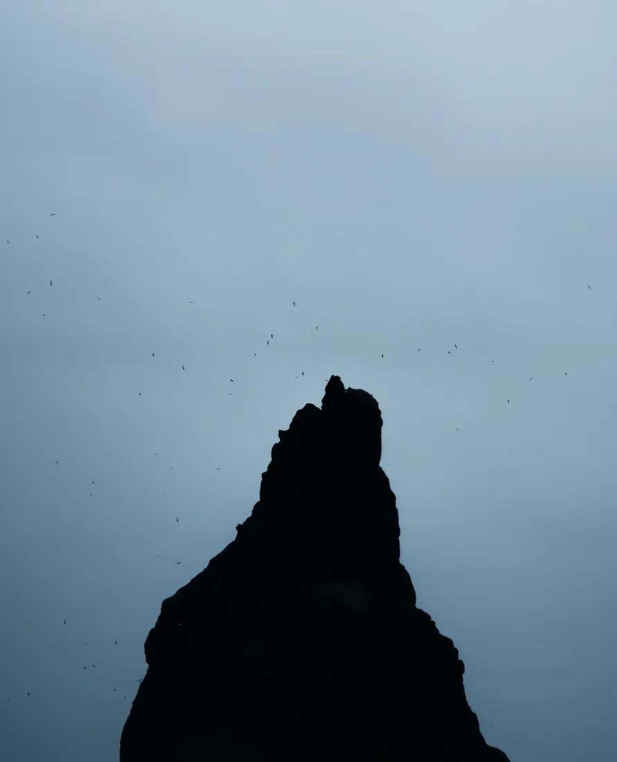 山峰剪影手机壁纸｜飞鸟天空背景图片 - 自然风景「哲风壁纸」