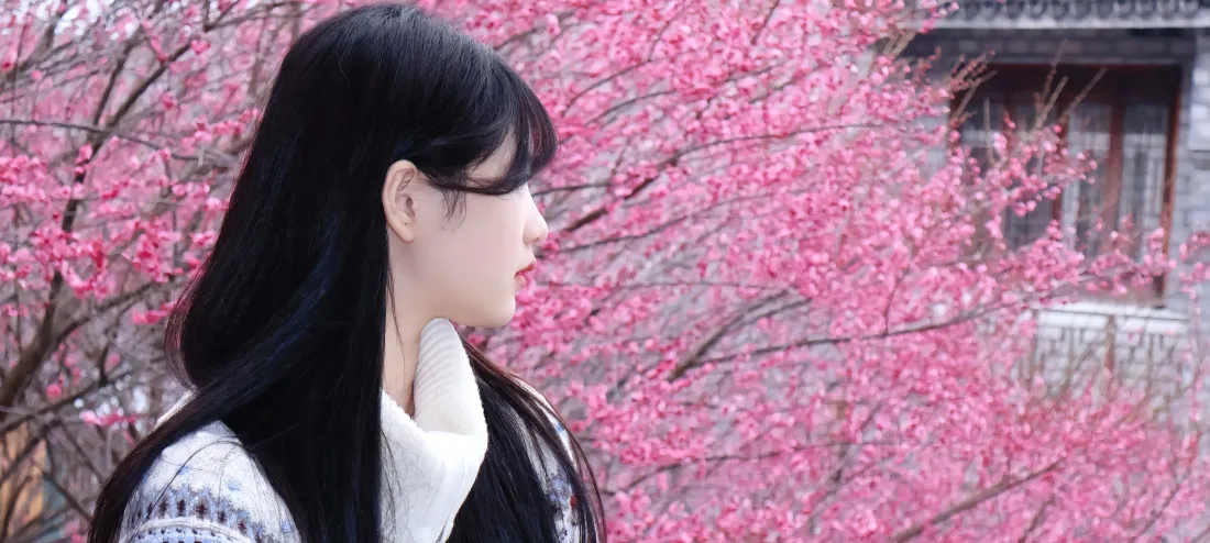 4k桃花美女壁纸｜桃花背景图片 - 古风建筑「哲风壁纸」