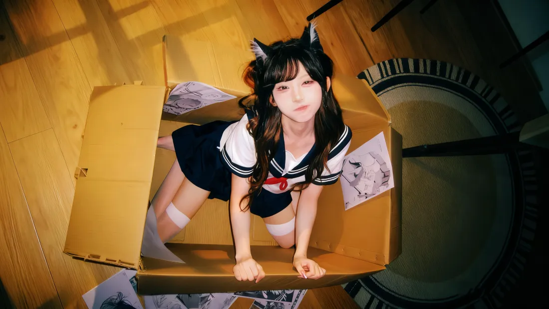 5k猫耳JK美女壁纸｜室内纸箱背景 - 可爱俏皮「哲风壁纸」