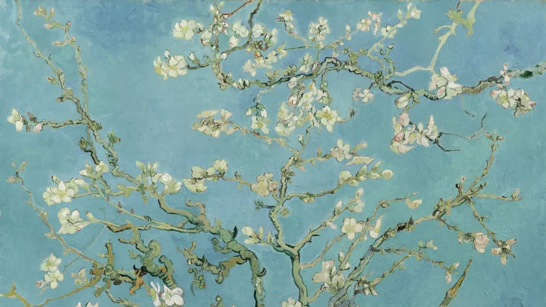 梵高印象派杏花油画，青蓝色背景上舒展着缀满白色杏花的枝桠