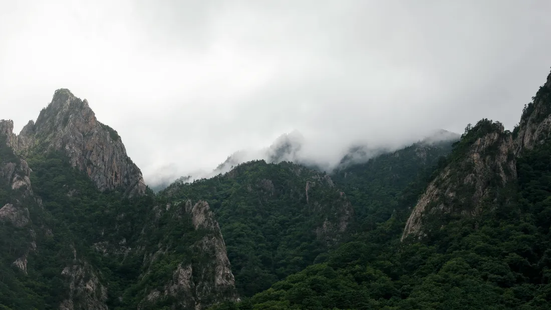 阴天雾霭笼罩的雪岳山，陡峭岩峰与茂密山林相映，朦胧悠远。
