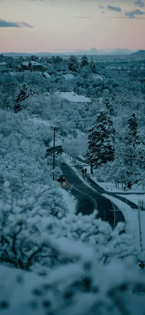 黄昏雪路手机壁纸｜冬日树林背景图片 - 自然雪景「哲风壁纸」