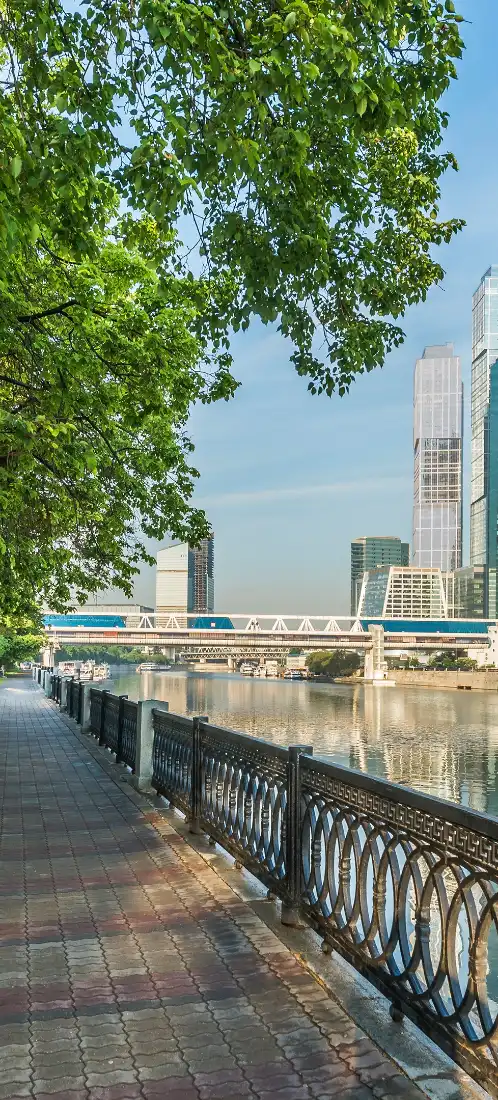 晴朗白日下的江边步道，绿树成荫，隔江可见跨江大桥与城市高楼