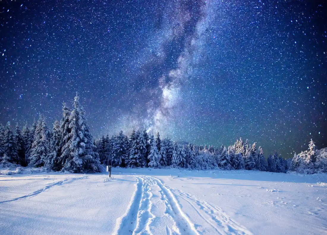 冬日雪林旷野上空，银河繁星璀璨，雪地车辙向远方延伸