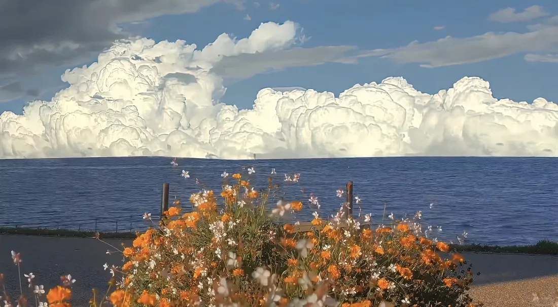 5k格桑花壁纸|湖畔花海背景图片 - 海滨晴天美景「哲风壁纸」 5k格桑花壁纸|湖畔花海背景图片 - 海滨晴天美景「哲风壁纸」