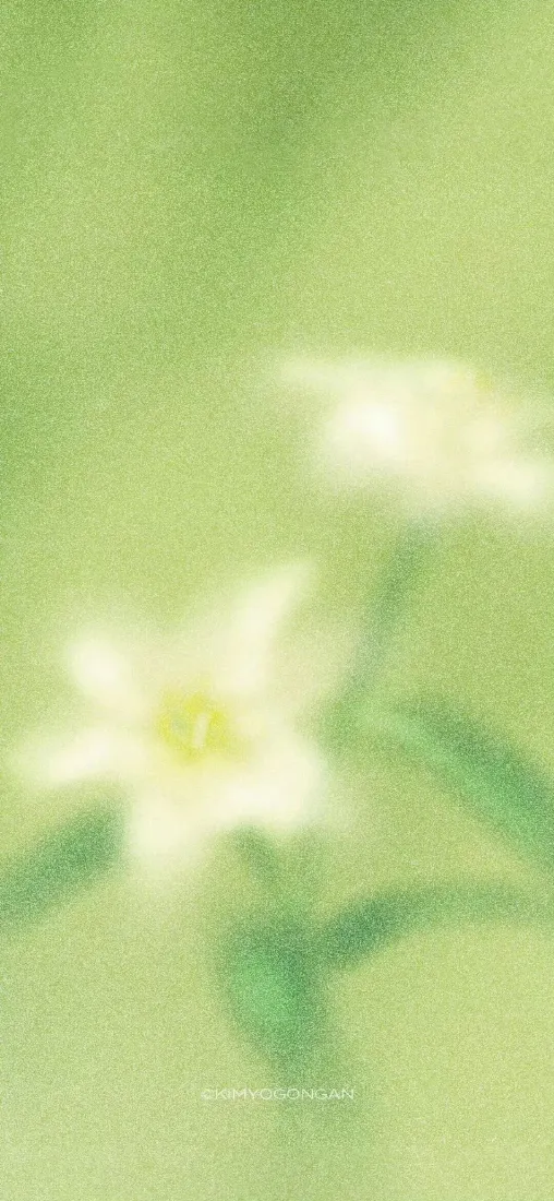 水仙手机壁纸｜清新背景图片 - 花卉插画「哲风壁纸」