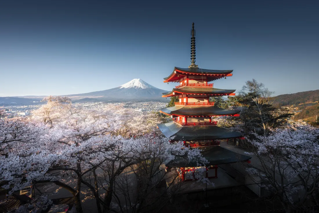 8k富士山壁纸|电脑背景图片 - 樱花五重塔「哲风壁纸」 8k富士山壁纸|电脑背景图片 - 樱花五重塔「哲风壁纸」