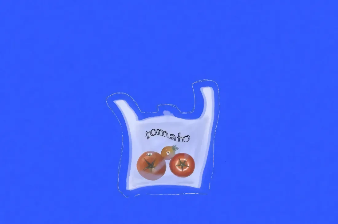 克莱因蓝纯色背景上，印有西红柿图案与tomato字样的白色塑料袋居中摆放。