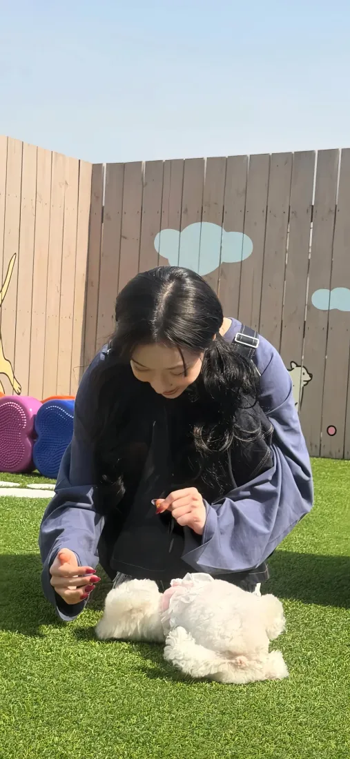 金玟庭手机壁纸|户外背景图片 - 逗白色小狗「哲风壁纸」 金玟庭手机壁纸|户外背景图片 - 逗白色小狗「哲风壁纸」