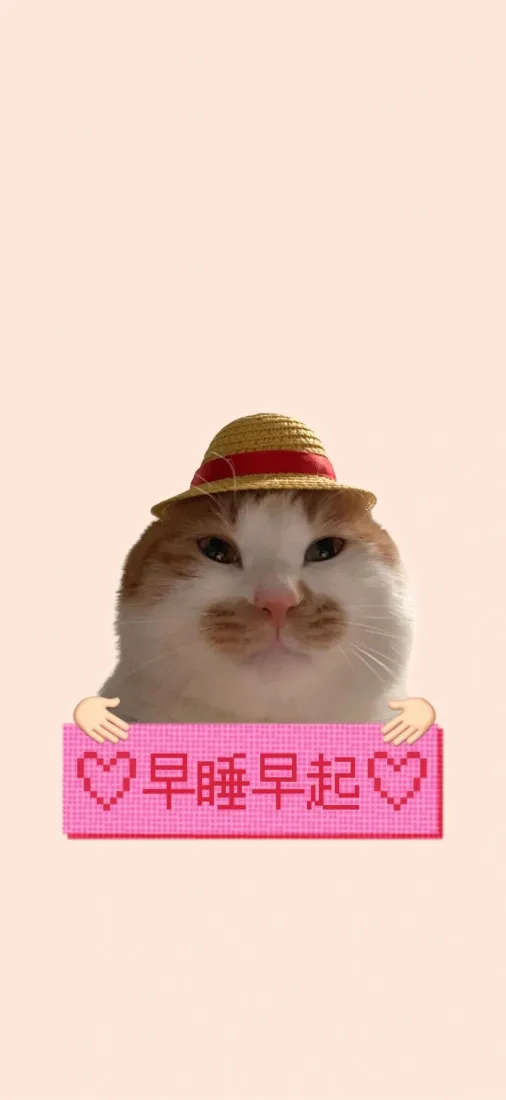 戴草帽的橘白小猫举着写有早睡早起的粉色像素爱心标牌，浅粉背景