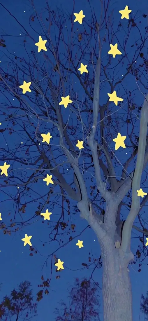 深蓝色夜空下，光秃的树干枝桠间点缀着多颗暖黄色五角星。