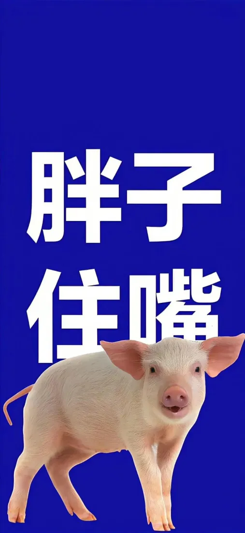 纯蓝色背景，配白色“胖子住嘴”文字与一只站立的小猪，为减肥励志壁纸。