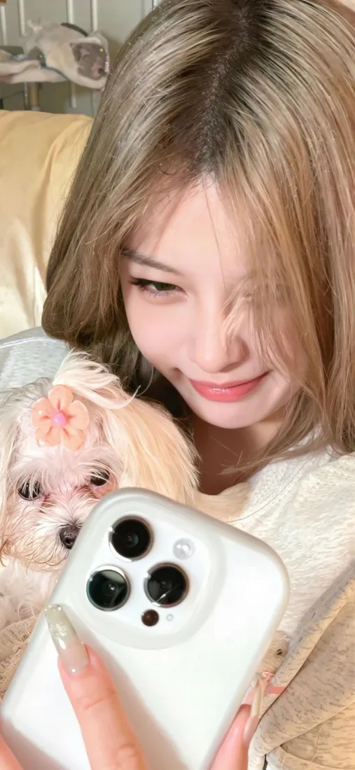 浅发色女生穿白色毛衣，怀抱戴小花发饰的马尔济斯犬，举手机对镜自拍
