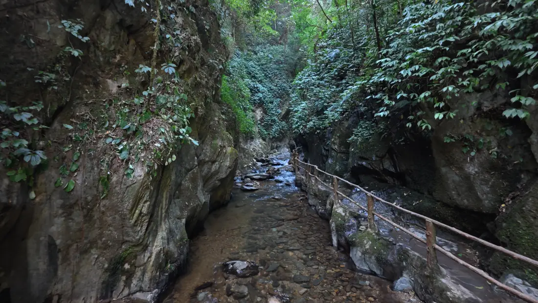 4k峡谷溪流壁纸|山间绿植背景图片 - 自然徒步步道风光「哲风壁纸」 4k峡谷溪流壁纸|山间绿植背景图片 - 自然徒步步道风光「哲风壁纸」