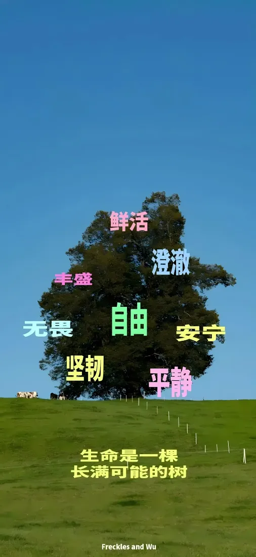 晴朗蓝天下的绿色草原上立着一棵孤树，叠加多色励志文字。